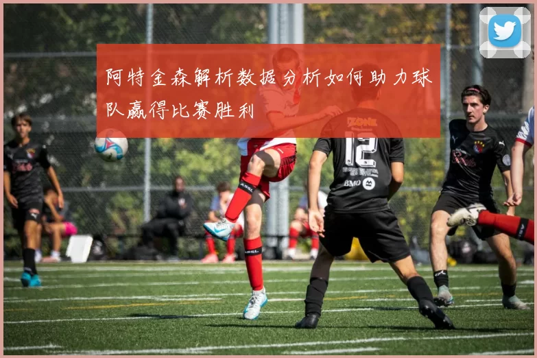 阿特金森解析数据分析如何助力球队赢得比赛胜利